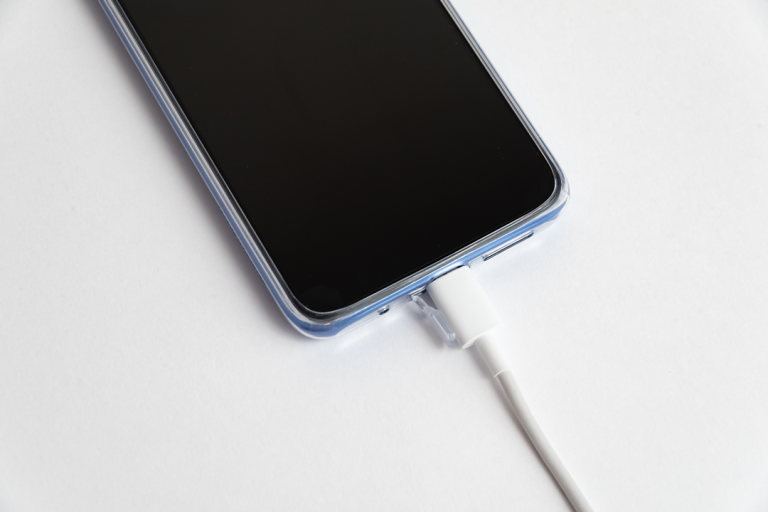 Apple Device Charging Port